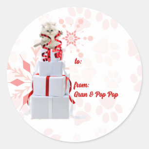 Etiquetas de presentes vermelho e rosa nos gatos f