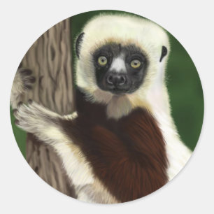 Etiquetas de Sifaka