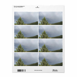 Etiquetas de Transporte de Cena Natural do Colorad