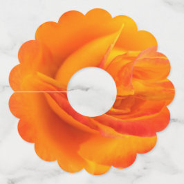 Etiquetas De Vidro De Papel De Rosa Laranja