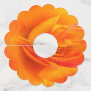 Etiquetas De Vidro De Papel De Rosa Laranja