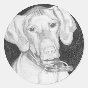 Etiquetas de Vizsla