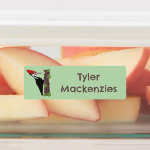 Etiquetas Dica de desenho engraçado personalizado do pica-pa