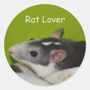 Etiquetas do amante do rato