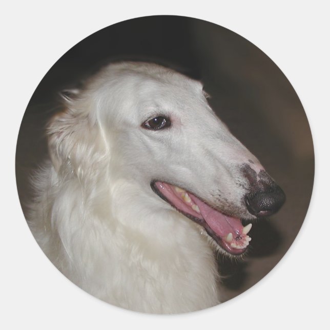 Etiquetas do Borzoi (Frente)