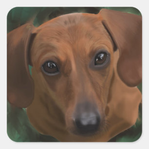 Etiquetas do Dachshund