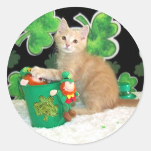 Etiquetas do dia do St Patrick de Buffington