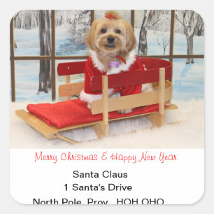 Etiquetas do endereço do Natal