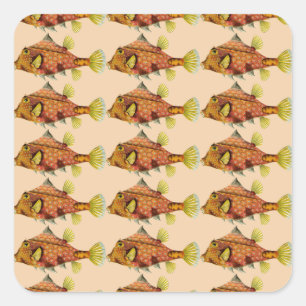 etiquetas do envoltório dos peixes