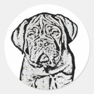 Etiquetas do filhote de cachorro de Dogue de