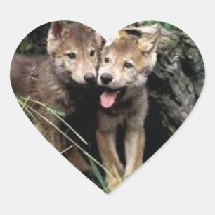 etiquetas do filhote de cachorro de lobo