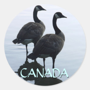 Etiquetas do ganso de Canadá das etiquetas da