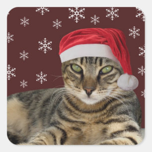 Etiquetas do gato do Natal