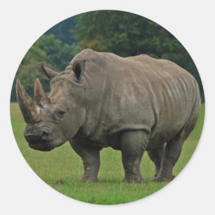 Etiquetas do Hippopotamus