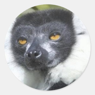 Etiquetas do Lemur