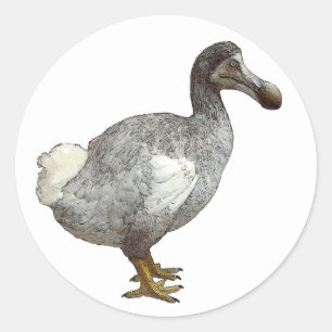 Etiquetas do pássaro do Dodo