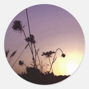 Etiquetas do por do sol da flor