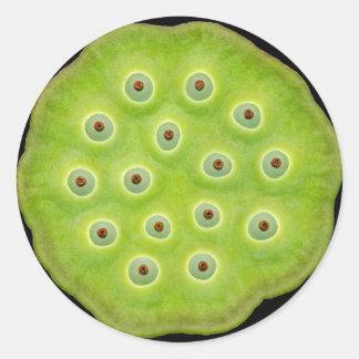 Etiquetas do vagem de Lotus