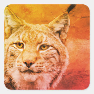 Etiquetas dos animais selvagens do lince