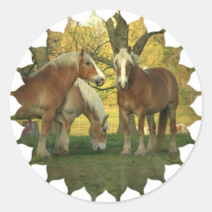 Etiquetas dos cavalos de esboço do Palomino