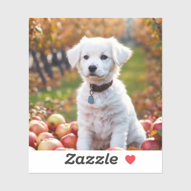 Etiquetas e rótulos (Folha)