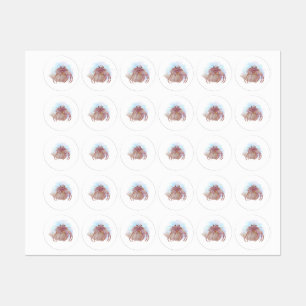 Etiquetas Esboço de caranguejo-eremita-bonito