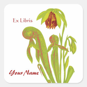 Etiquetas ex do livro da planta de jarro de Libris