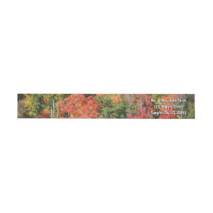 Etiquetas Fall Hillside Colorter Autumn Nature Fotografia