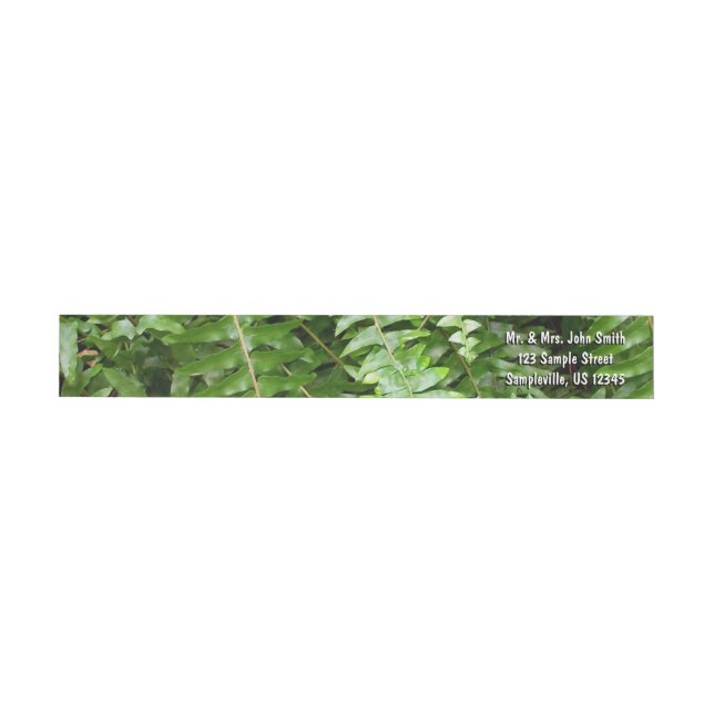 Etiquetas Fern Frontes I Green Nature (Individual)