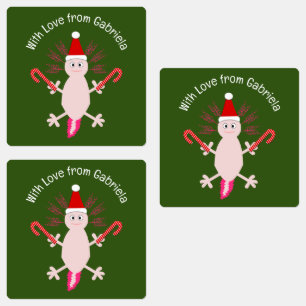 Etiquetas Fixe de Natal Axolotl Personalizado