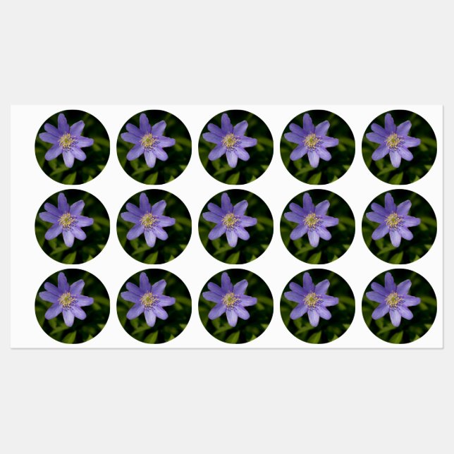 Etiquetas Flor selvagem (Folha)