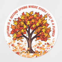 Folhas de outono quentes, presentes mágicos da tem