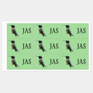 Etiquetas Fotografia de ave-de-galinha-do-mato-rúbi