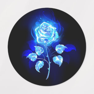 Etiquetas Gravação de Rosa Azul