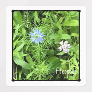 Etiquetas Hope Square