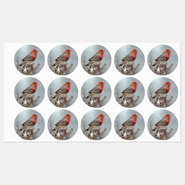 Etiquetas House Finch in Snow - Foto original (Folha)