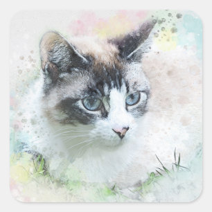 etiquetas ideais do gato