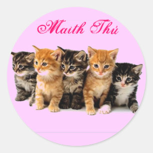 Etiquetas irlandesas da recompensa da língua