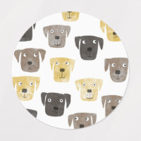 Labrador Retriever Dog