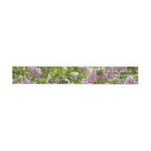 Etiquetas Lilac Bush Lindas Flores de primavera Roxas