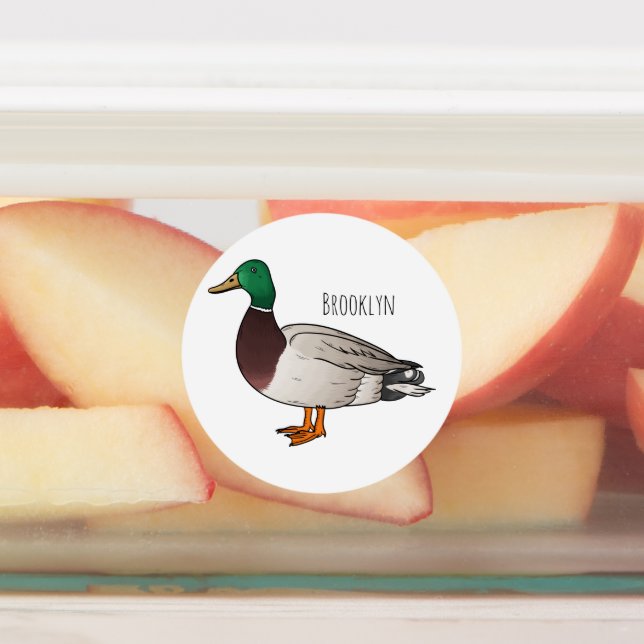 Etiquetas Mallard duck cartoon illustration (Afixado)