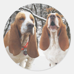 Etiquetas nevado das madeiras de Basset Hound