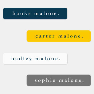 Etiquetas Nome à prova d'água de cores escolares simples