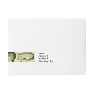Etiquetas Para Envelope Arte De Pesca Científica Dos Peixes Vintage