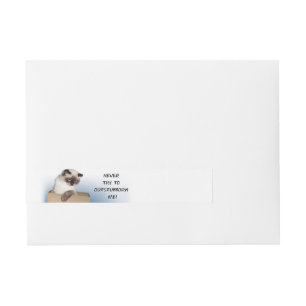Etiquetas Para Envelope Gato na caixa