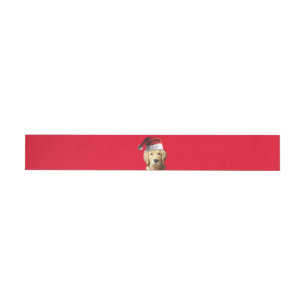Etiquetas Para Envelope Golden Retriever vestindo um Papai Noel
