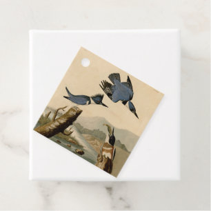 Etiquetas Para Lembrancinhas Audubon Belfisher Kingfisher Wildlife Bird
