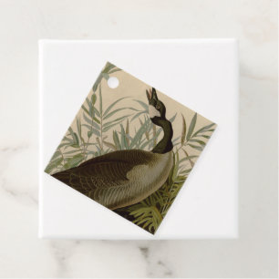 Etiquetas Para Lembrancinhas Audubon Canada Goose Willife Bird