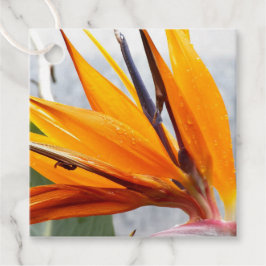 Etiquetas Para Lembrancinhas Casamento Floral de Ave do Paraíso Tropical