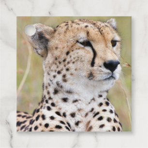 Etiquetas Para Lembrancinhas Cheetah